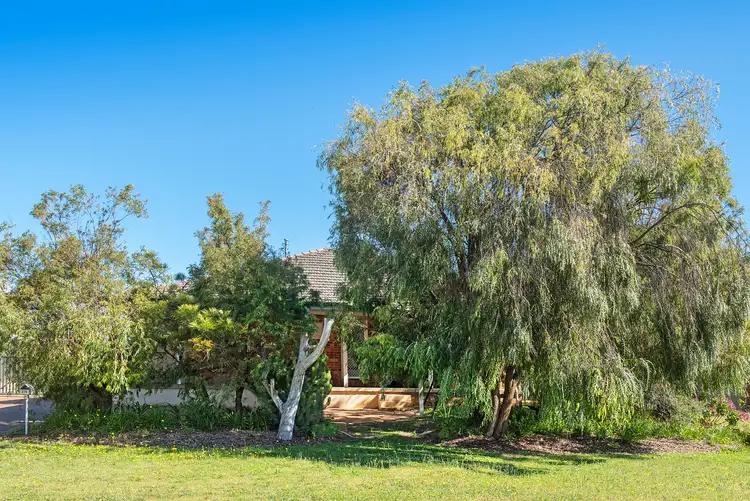 Seventh view of Homely house listing, 275 Marine Terrace, Geographe WA 6280