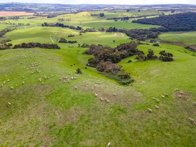 Sixth view of Homely rural property listing, A11 Hindmarsh Tiers Road, Myponga SA 5202
