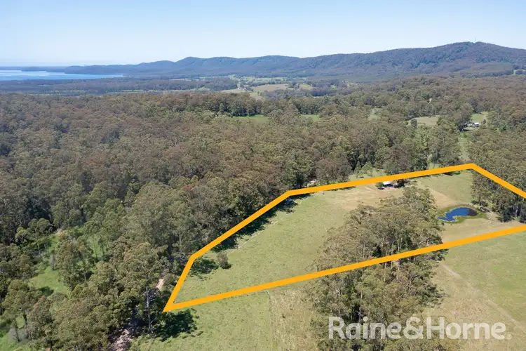 Third view of Homely rural property listing, 370 Hubbards Road North, Topi Topi NSW 2423