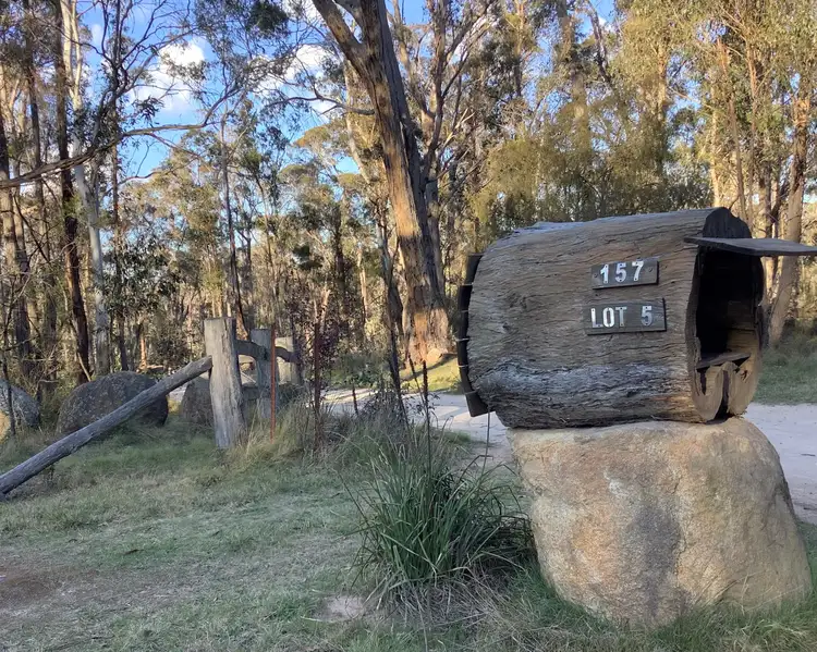 157 Warra Forest Road, Mount Mitchell NSW 2365