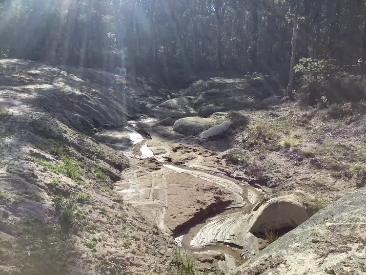 Seventh view of Homely rural property listing, 157 Warra Forest Road, Mount Mitchell NSW 2365