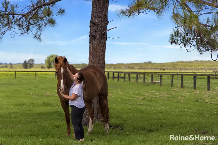 Fifth view of Homely house listing, 223 Cabbage Tree Road, Williamtown NSW 2318