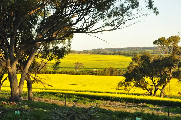 Second view of Homely rural property listing, 5157 York-Williams Road, West Pingelly WA 6308