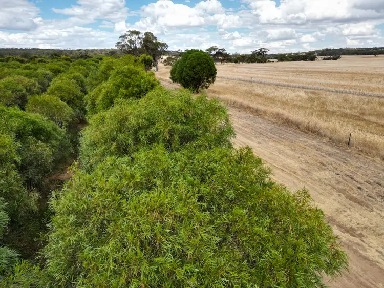 Seventh view of Homely rural property listing, 5157 York-Williams Road, West Pingelly WA 6308