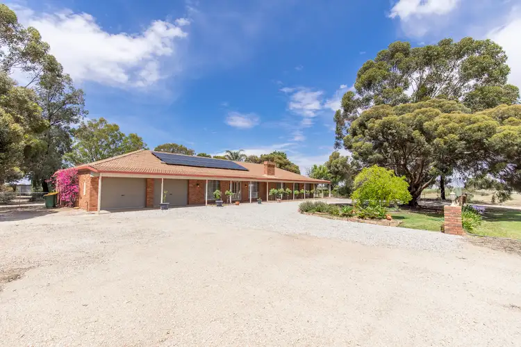 Main view of Homely house listing, 111 Werril Street, Swan Hill VIC 3585
