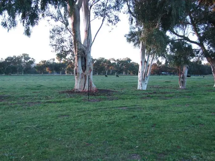Main view of Homely rural property listing, LOTS 32-33-34 103 WATTLE ROAD, Serpentine WA 6125