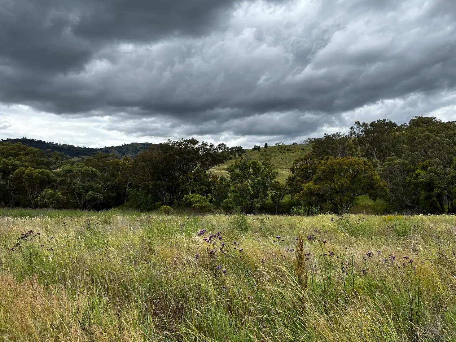 Main view of Homely rural property listing, 2 Chilcotts Creek Road, Willow Tree NSW 2339