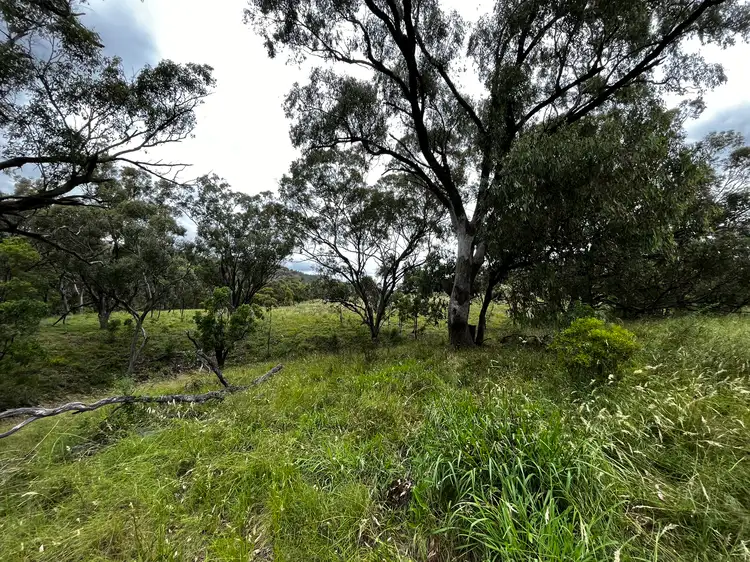 Fourth view of Homely rural property listing, 2 Chilcotts Creek Road, Willow Tree NSW 2339