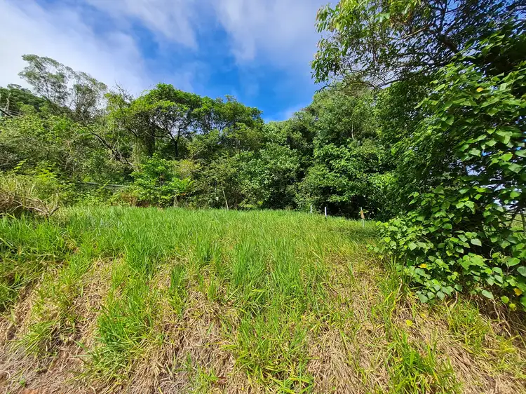 Fifth view of Homely land listing, LOT 3 Bamboo Creek Road, Bamboo QLD 4873