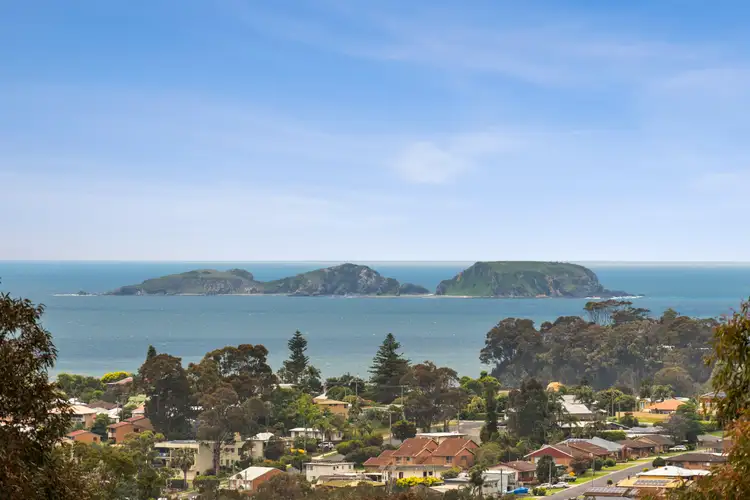 105 Vista Avenue, Catalina NSW 2536