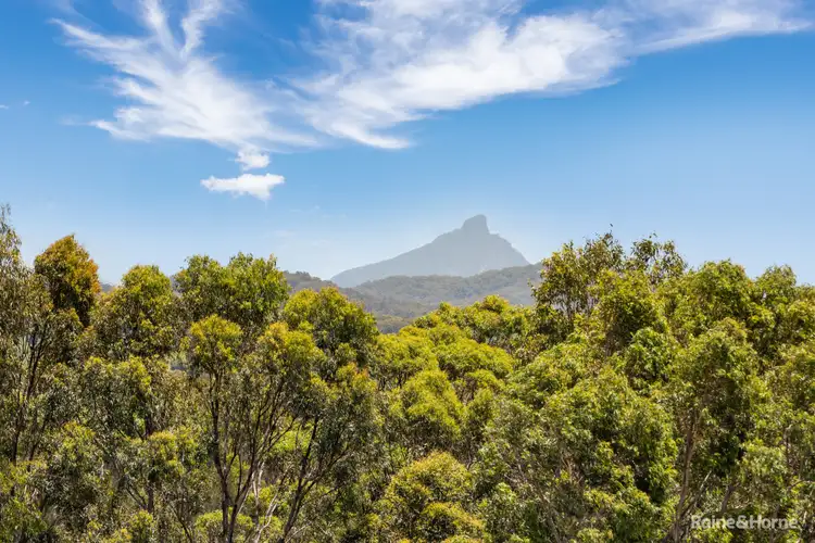 43 Marsupial Drive, Pottsville NSW 2489