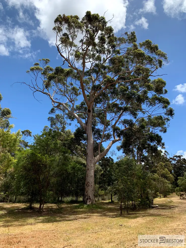 Fourth view of Homely land listing, 22 Tall Trees Court, Cowaramup WA 6284