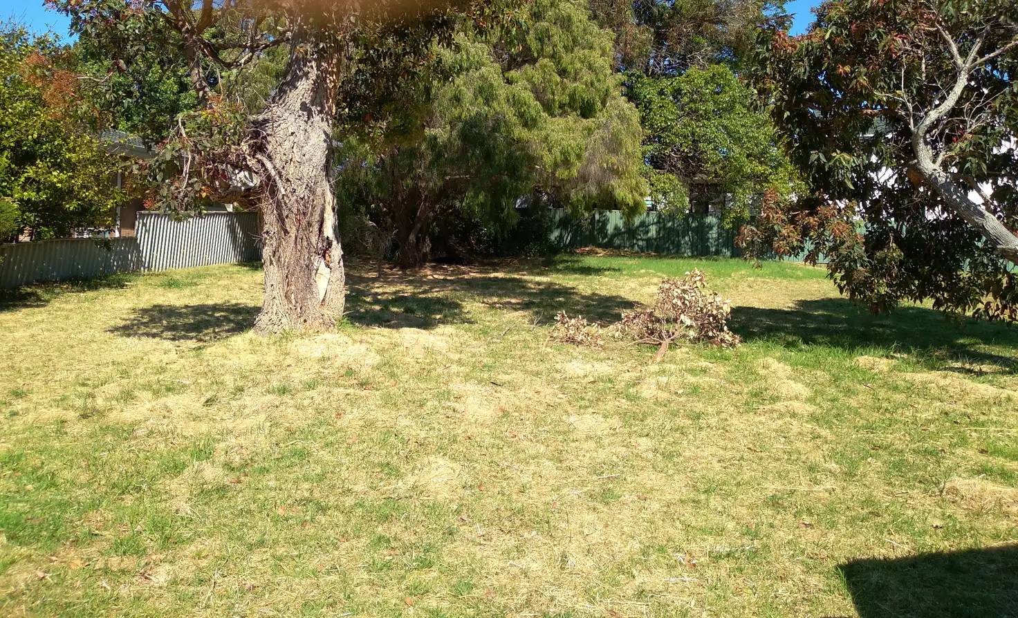 Main view of Homely land listing, 14 Thelma Street, Augusta WA 6290