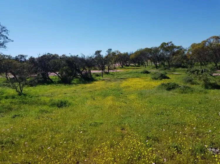 Second view of Homely land listing, LOT 3352 Beatty Haselby Rd, Naraling WA 6532