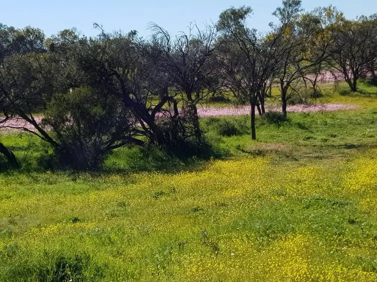 Third view of Homely land listing, LOT 3352 Beatty Haselby Rd, Naraling WA 6532