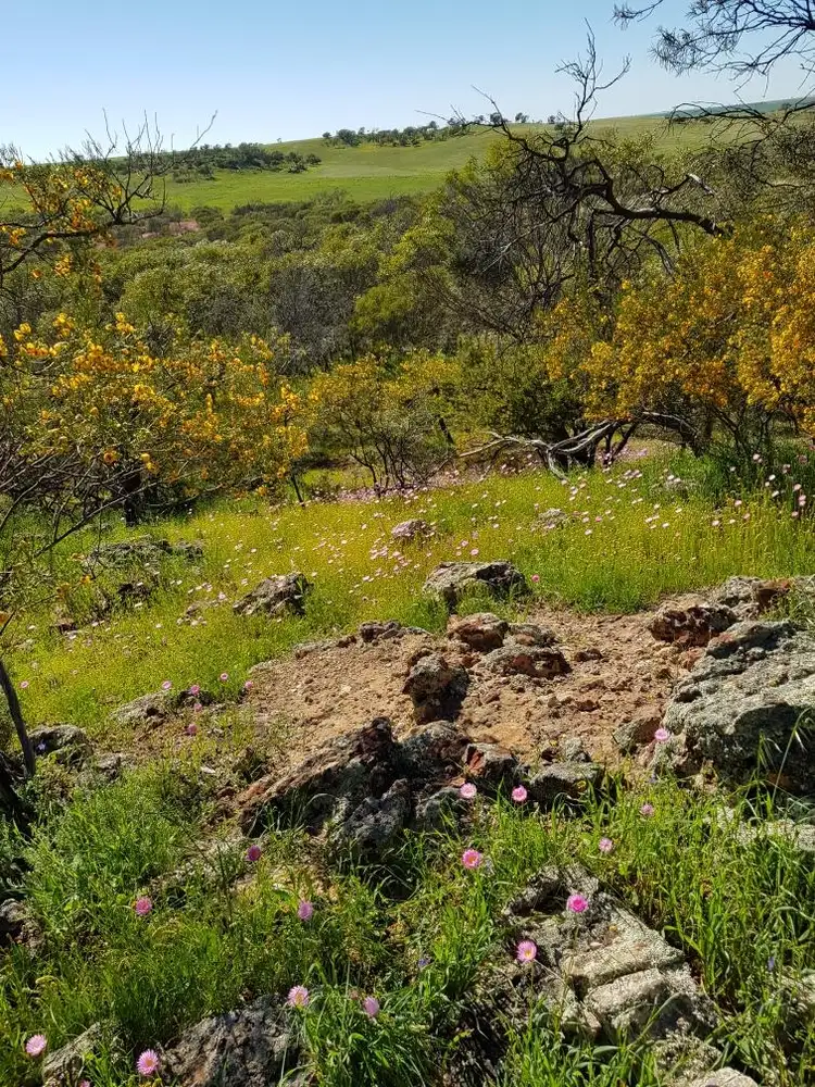 Fourth view of Homely land listing, LOT 3352 Beatty Haselby Rd, Naraling WA 6532