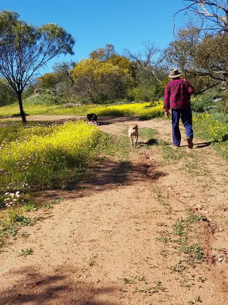 Sixth view of Homely land listing, LOT 3352 Beatty Haselby Rd, Naraling WA 6532