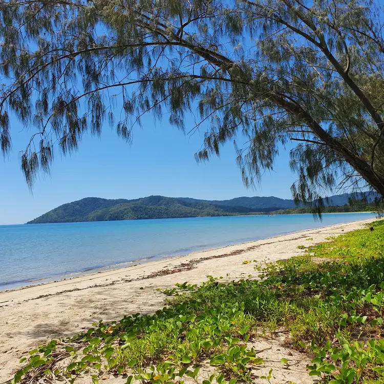 Third view of Homely land listing, Lot 11 Cape Tribulation Road, THORNTON BEACH, Daintree QLD 4873
