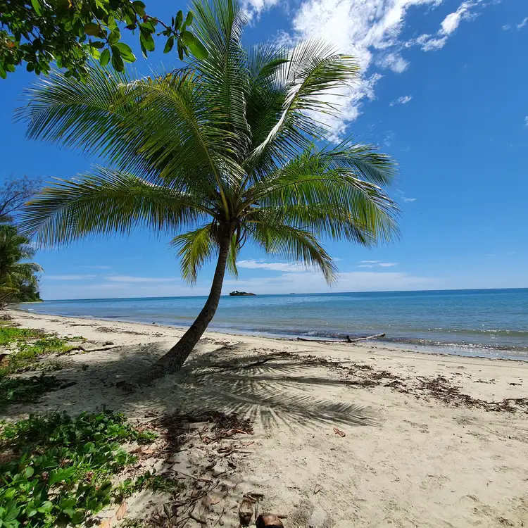 Fourth view of Homely land listing, Lot 11 Cape Tribulation Road, THORNTON BEACH, Daintree QLD 4873