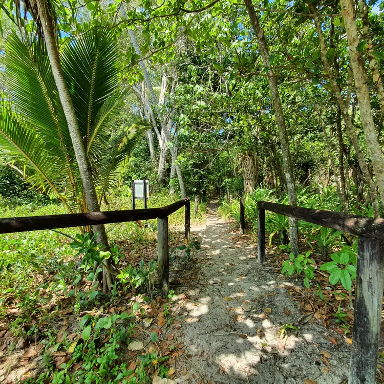 Fifth view of Homely land listing, Lot 11 Cape Tribulation Road, THORNTON BEACH, Daintree QLD 4873