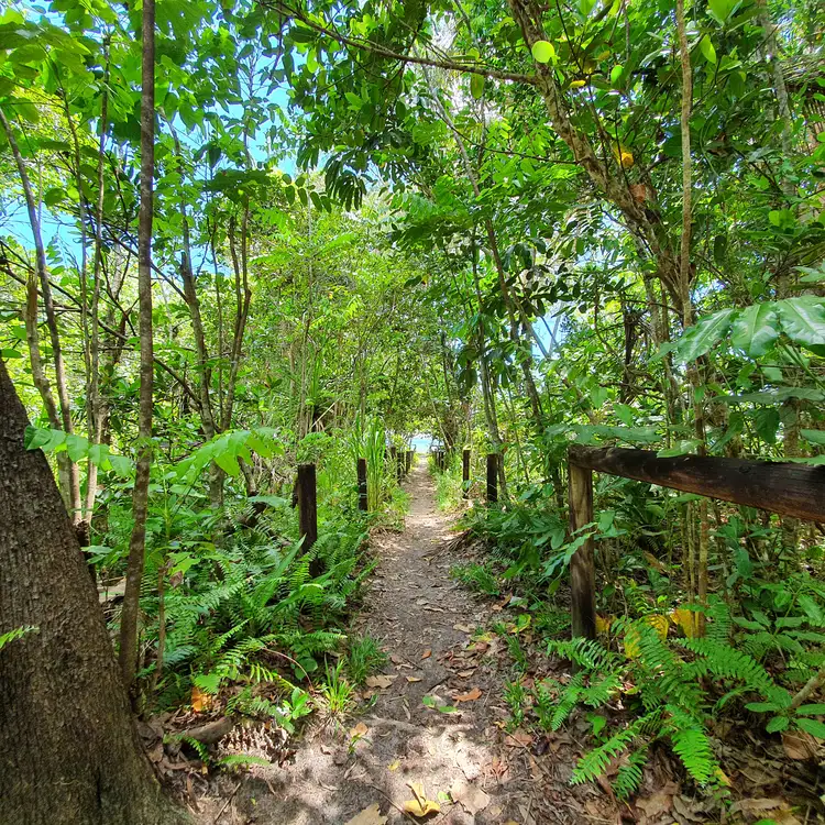 Seventh view of Homely land listing, Lot 11 Cape Tribulation Road, THORNTON BEACH, Daintree QLD 4873