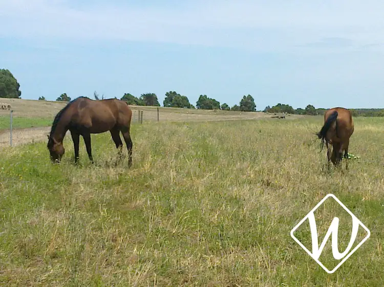 Fifth view of Homely rural property listing, 176 Napier Road, Dalyup WA 6450