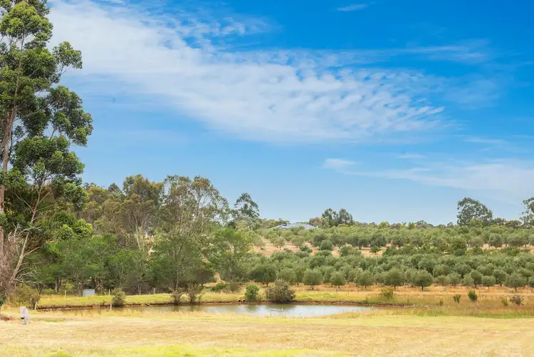 Fourth view of Homely rural property listing, 960 Bessell Road, Rosa Brook WA 6285