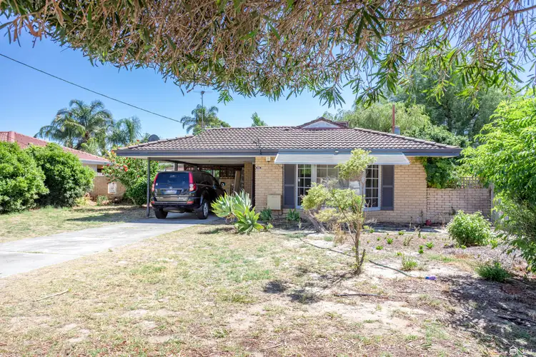 Main view of Homely house listing, 31 Gunnamatta Place, Kelmscott WA 6111