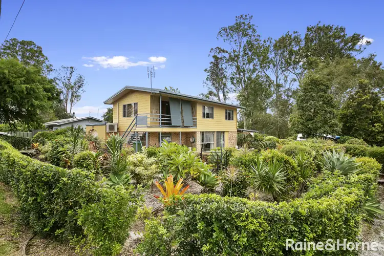 Main view of Homely house listing, 38 Kauri Street, Cooroy QLD 4563