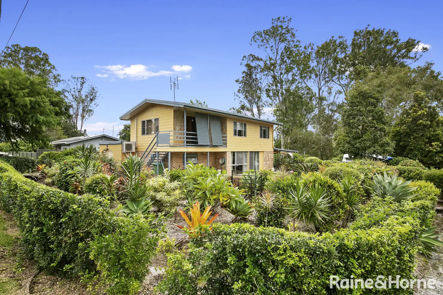 Main view of Homely house listing, 38 Kauri Street, Cooroy QLD 4563