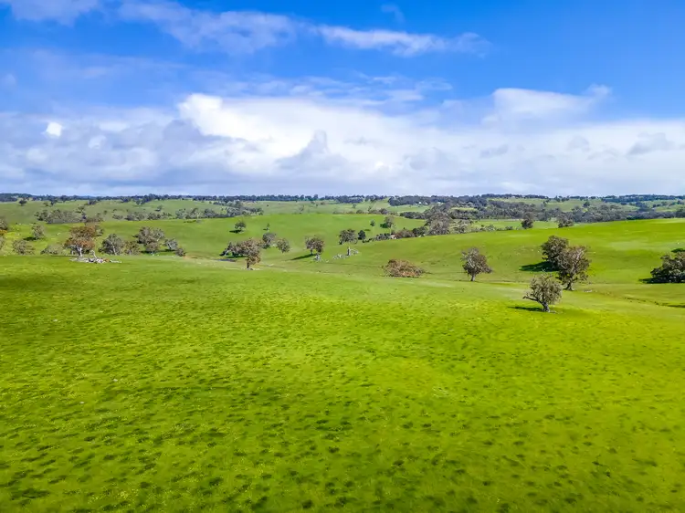 Main view of Homely rural property listing, A1 Stirling Hill Road, Gemmells SA 5255