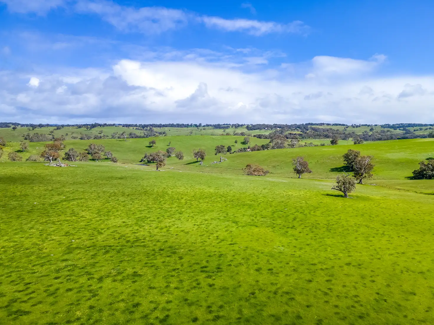 Main view of Homely rural property listing, A1 Stirling Hill Road, Gemmells SA 5255