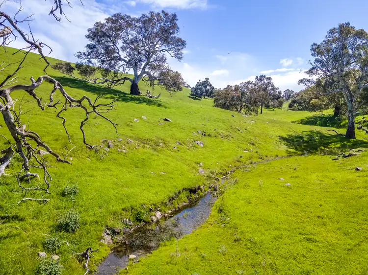 Second view of Homely rural property listing, A1 Stirling Hill Road, Gemmells SA 5255