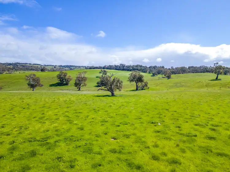 Fourth view of Homely rural property listing, A1 Stirling Hill Road, Gemmells SA 5255