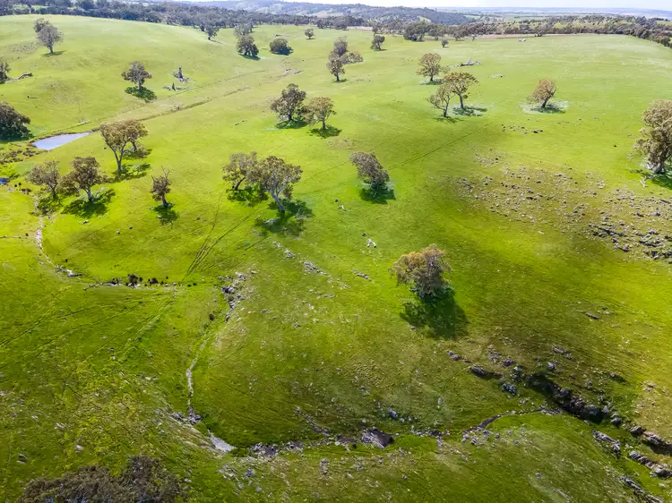 Fifth view of Homely rural property listing, A1 Stirling Hill Road, Gemmells SA 5255
