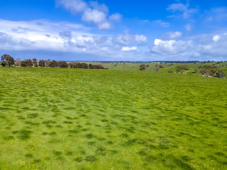 Seventh view of Homely rural property listing, A1 Stirling Hill Road, Gemmells SA 5255