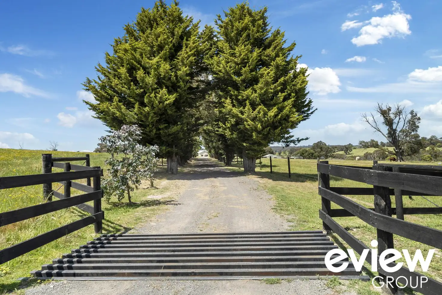 Main view of Homely rural property listing, 431 Springs Road, Terip Terip VIC 3719