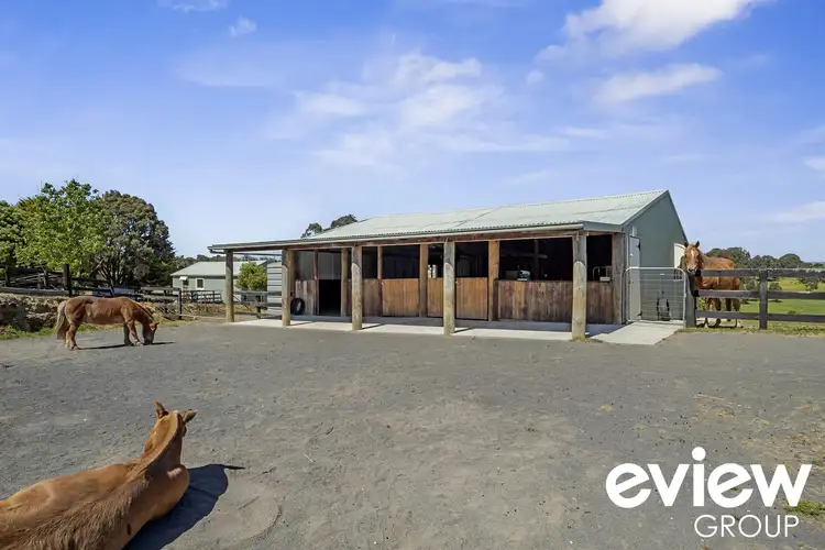 Fifth view of Homely rural property listing, 431 Springs Road, Terip Terip VIC 3719