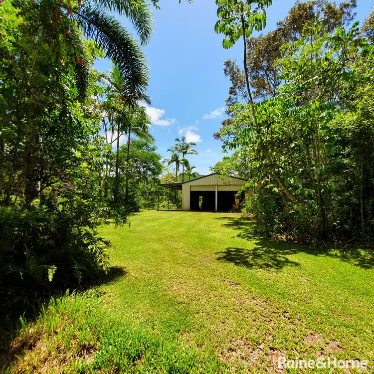 Fourth view of Homely house listing, 25 Mahogany Road, DIWAN, Daintree QLD 4873