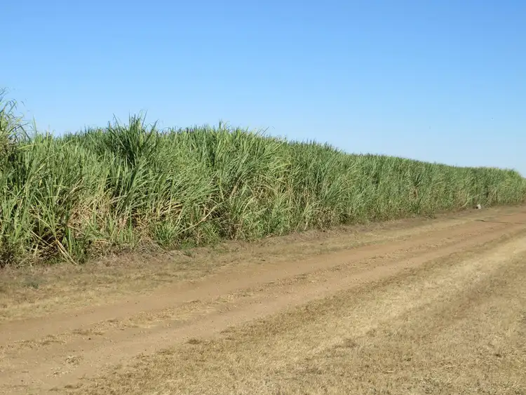 Fifth view of Homely rural property listing, 218 Oats Road, Home Hill QLD 4806
