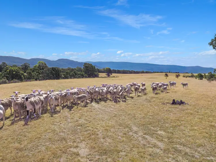 Second view of Homely rural property listing, Lot A11 Ararat Halls Gap Road, Pomonal VIC 3381