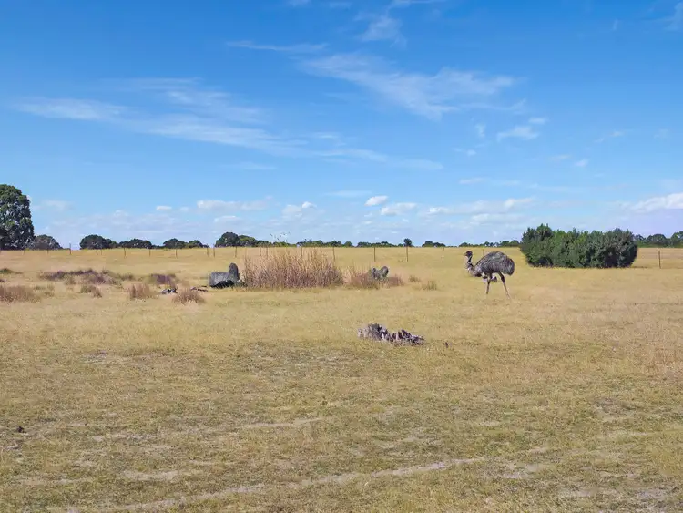 Third view of Homely rural property listing, Lot A11 Ararat Halls Gap Road, Pomonal VIC 3381