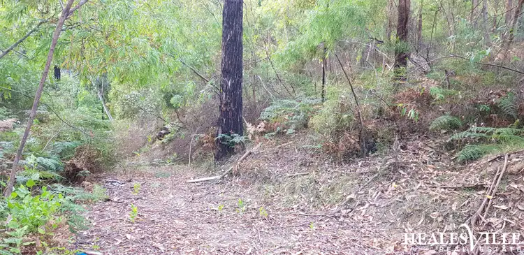 Sixth view of Homely land listing, 389 Myers Creek Road, Healesville VIC 3777