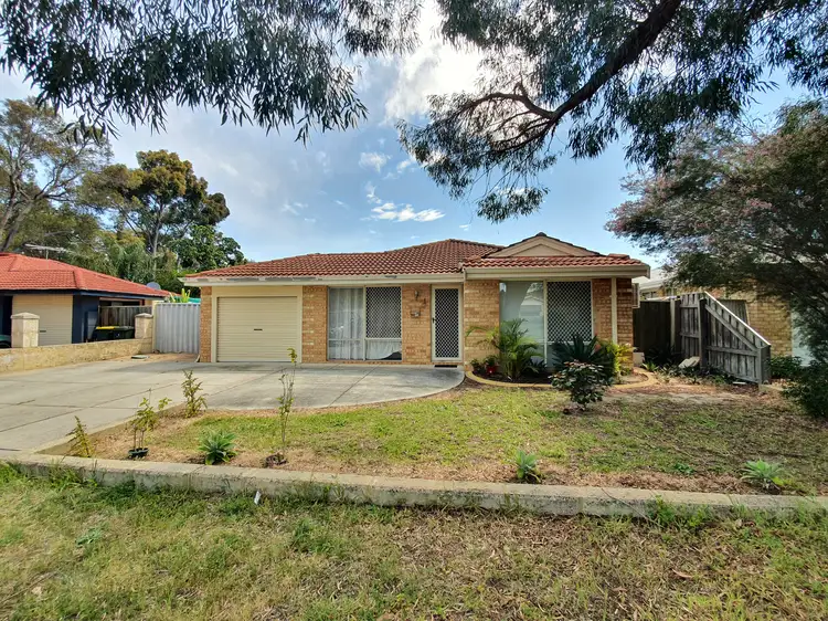 Main view of Homely house listing, 55 Stratton Boulevard, Stratton WA 6056