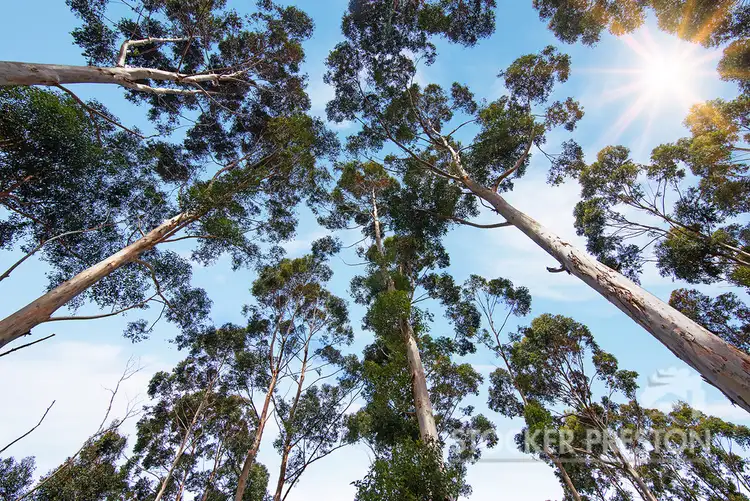 Seventh view of Homely land listing, 10 Tallwood Loop, Witchcliffe WA 6286