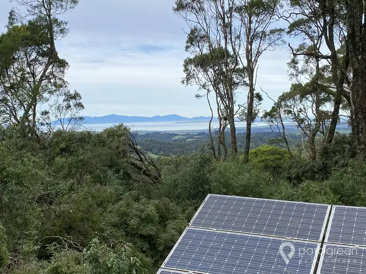 Main view of Homely rural property listing, 284 Dollar Woorarra West Road, Turtons Creek VIC 3960