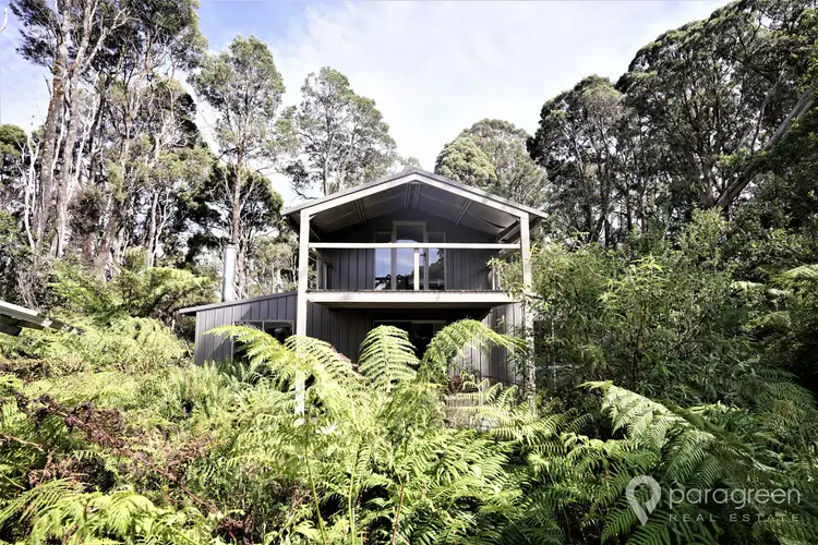 Third view of Homely rural property listing, 284 Dollar Woorarra West Road, Turtons Creek VIC 3960