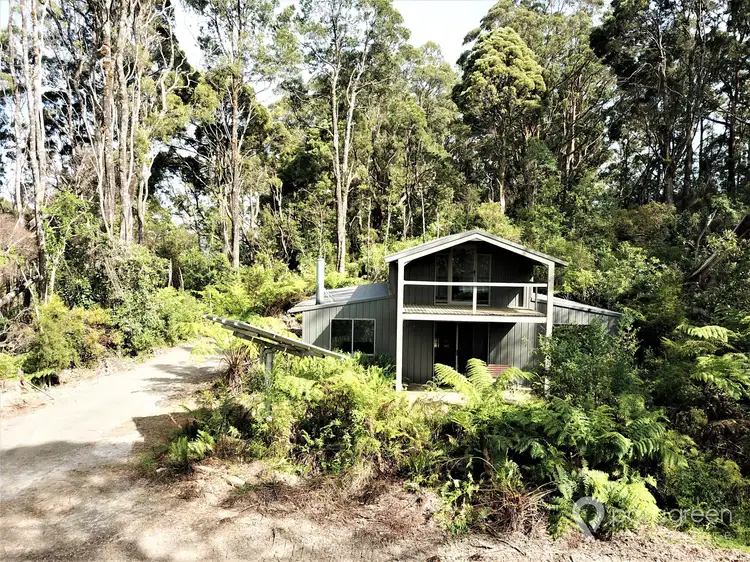 Fifth view of Homely rural property listing, 284 Dollar Woorarra West Road, Turtons Creek VIC 3960