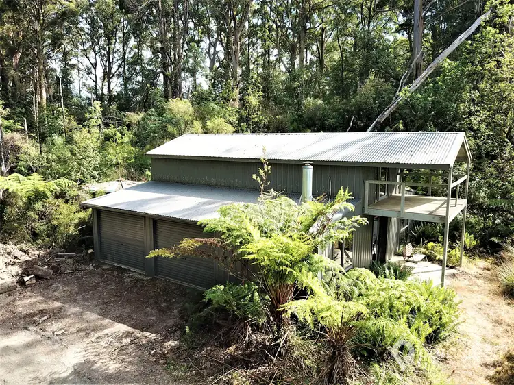 Sixth view of Homely rural property listing, 284 Dollar Woorarra West Road, Turtons Creek VIC 3960
