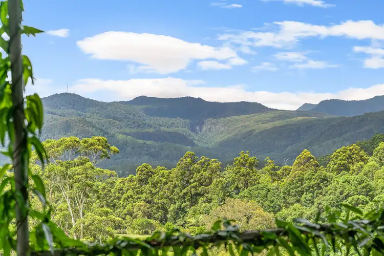 Fifth view of Homely house listing, 285 Rose Road, Tuntable Creek NSW 2480